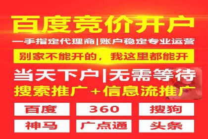 SEM优化策略：实战案例解析